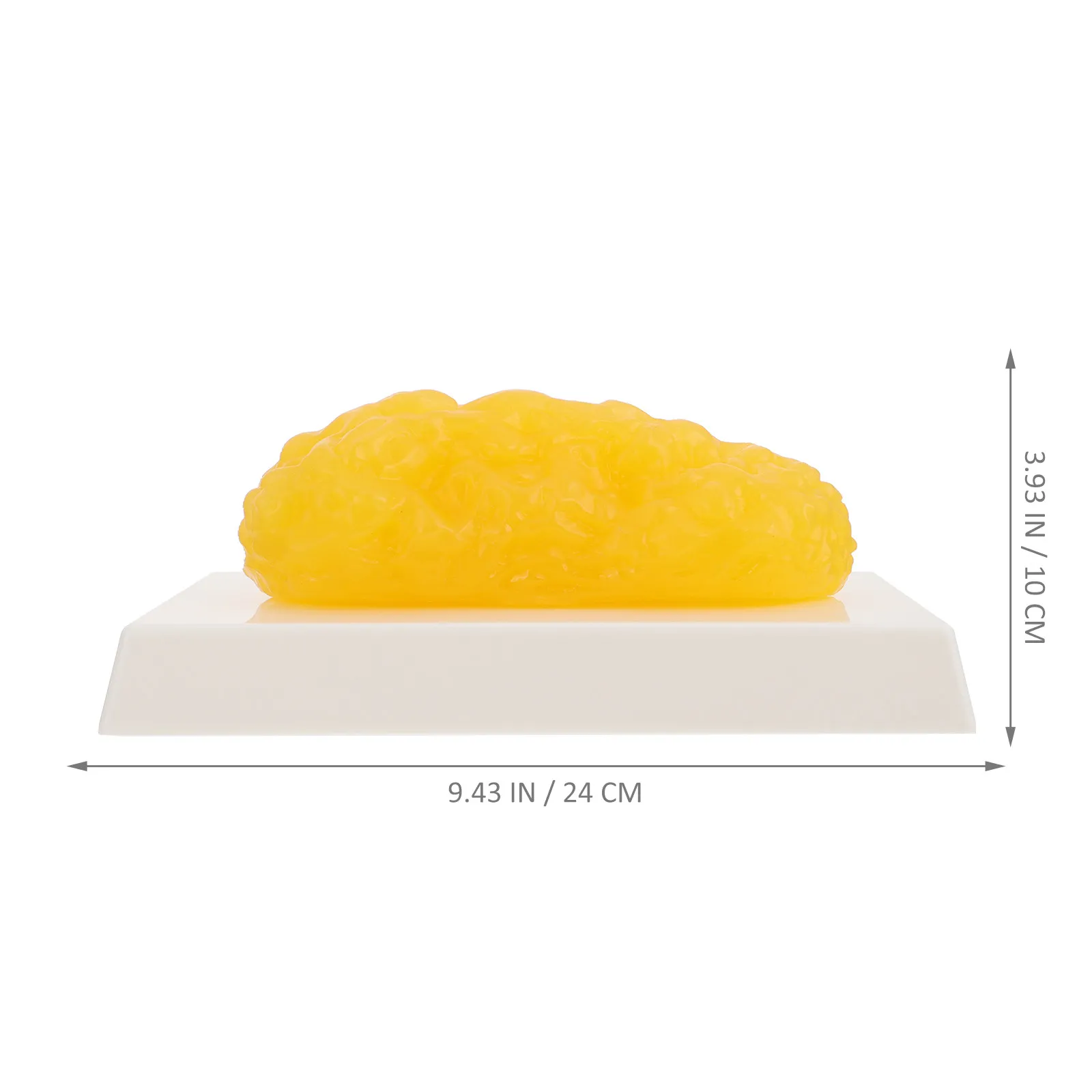 Human Body Fat Pound Plastic Fat Demonstration Device Fitness Trainer Nutritionist Teaching Aid Weight Loss Motivation