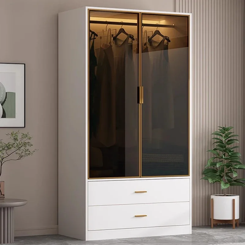 

Modern Display Closet Modular Design Transparent Nordic Wardrobe Organizer Living Room Simple Vestidores Lounge Suite Furniture