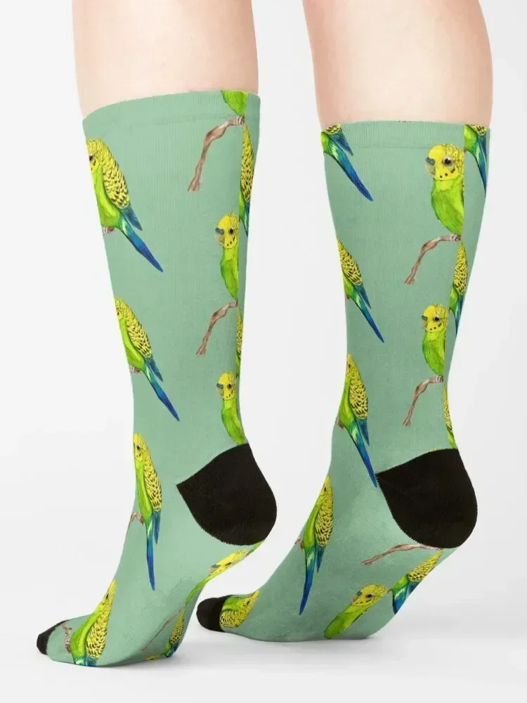 Cute green budgie Socks kawaii professional running compression short Man Socks Women's