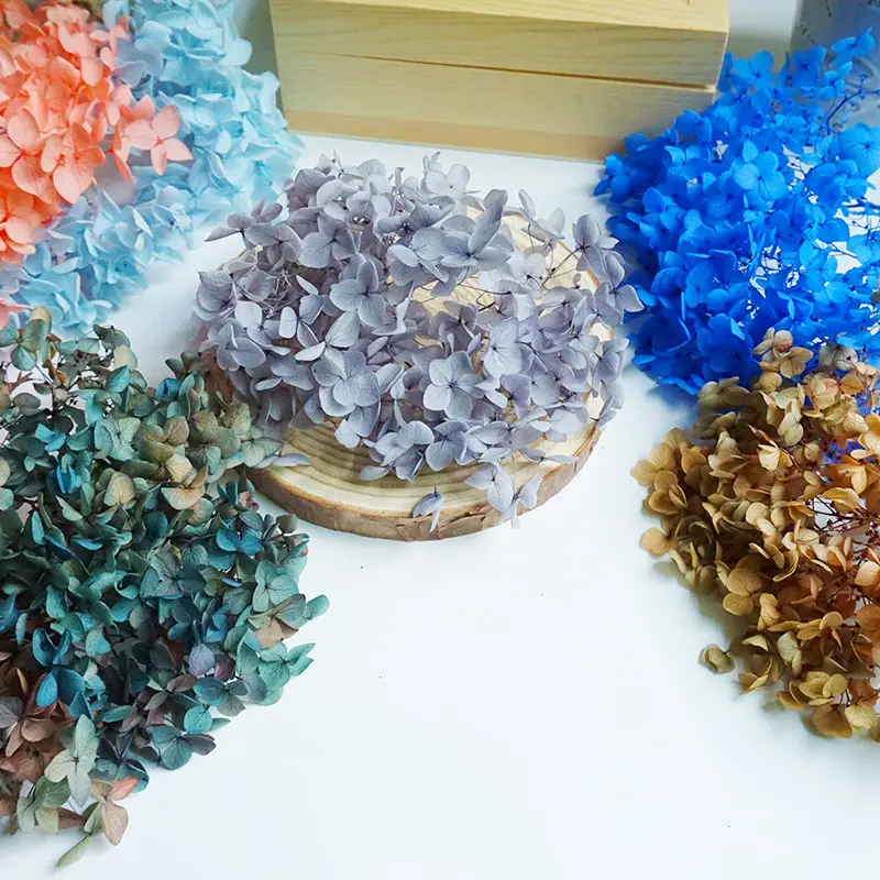 Colorful Preserved Hydrangea Home Decoration Wedding Decoration Small Leaf Anna Hydrangea Epoxy Handmade DIY Material