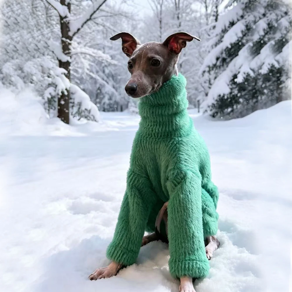 Pijama cuello alto manga larga para perros mini Galgo Whippet verde visón - imagen 2