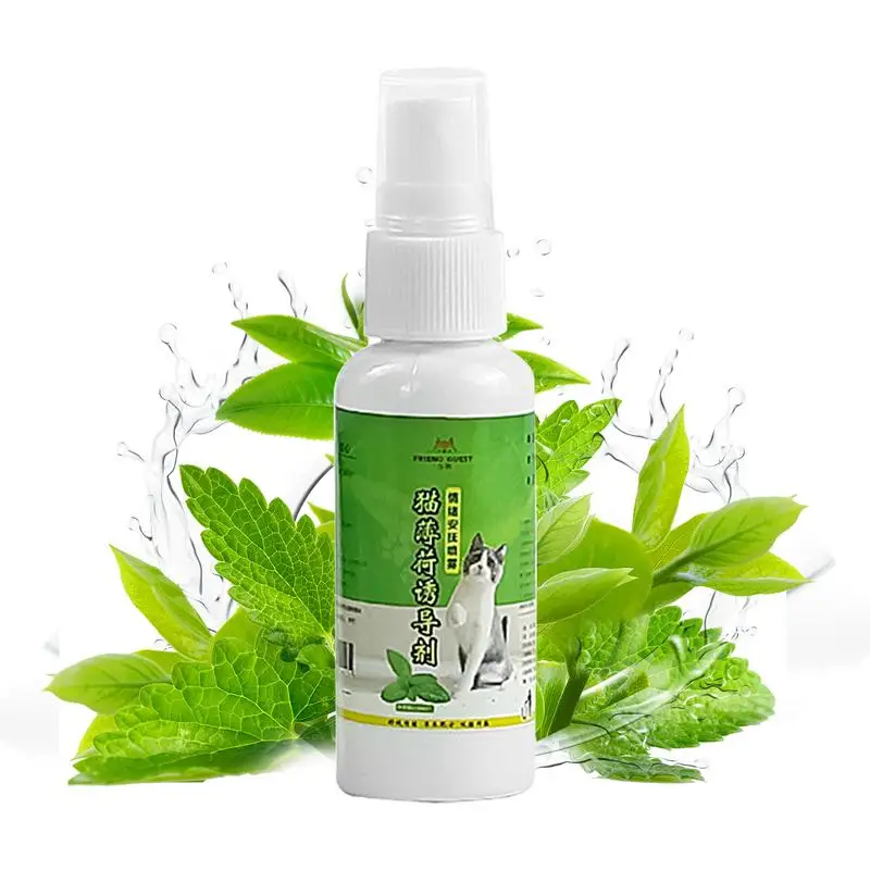 Indoor Cats Catnip Spray Natural And Healthy 50ml Cat Spray Natural Catnip Spray Quick Relaxing Effect Catnip Spray for pets