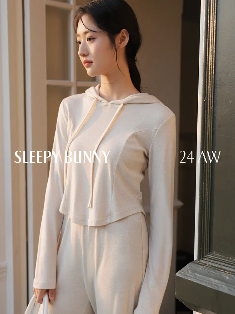 Cozy Casual Lounge Set Women Autumn Long Sleeve Hoodie Wide Leg Pants Soft Comfy Two-Piece Outfit Minimalist Homewear Tracksuit