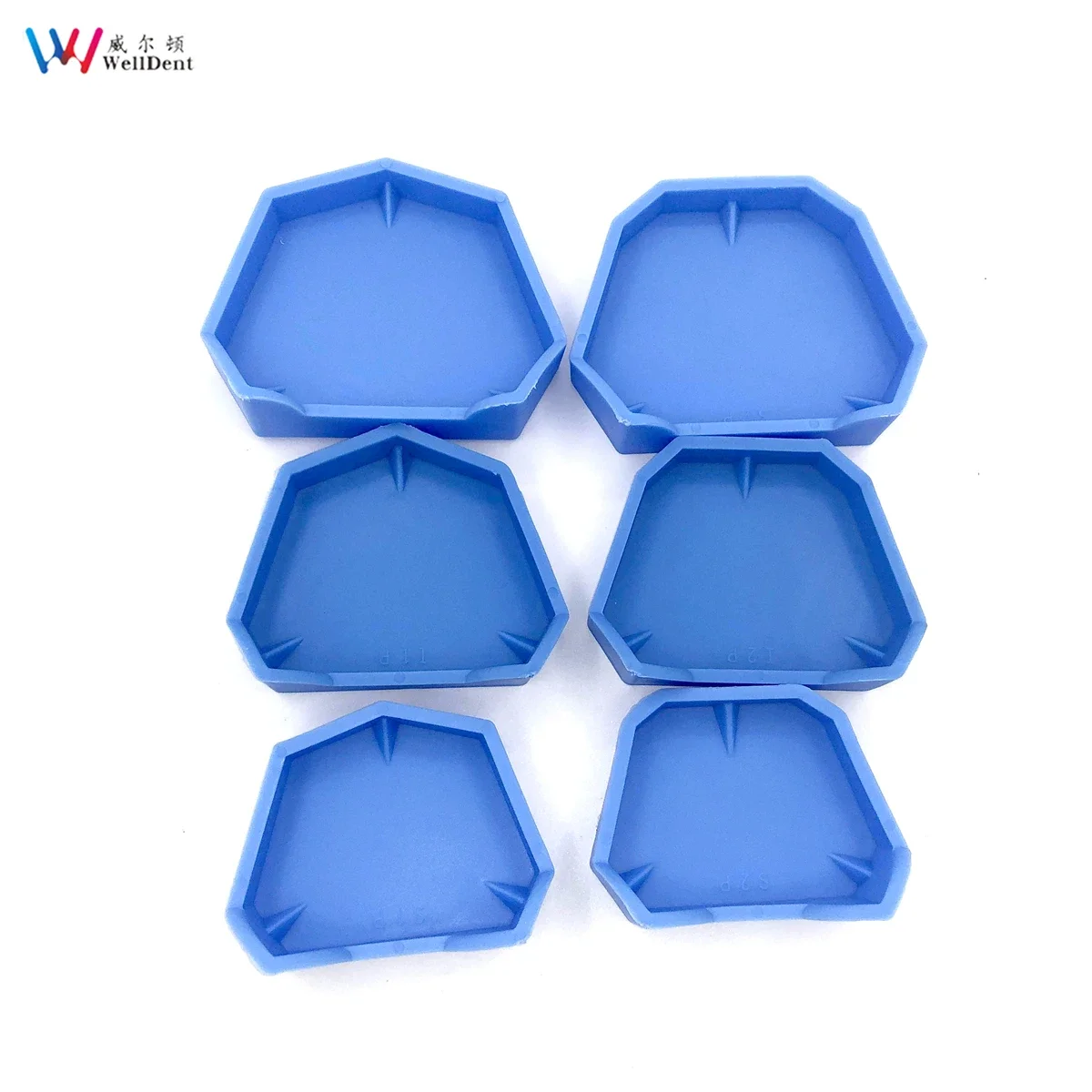 6Pcs/set Dental Model Base Set Dental Mold Plaster Base Denture Tray Oral Hygiene Care Dental Lab Former Base Kit for 3 Sizes