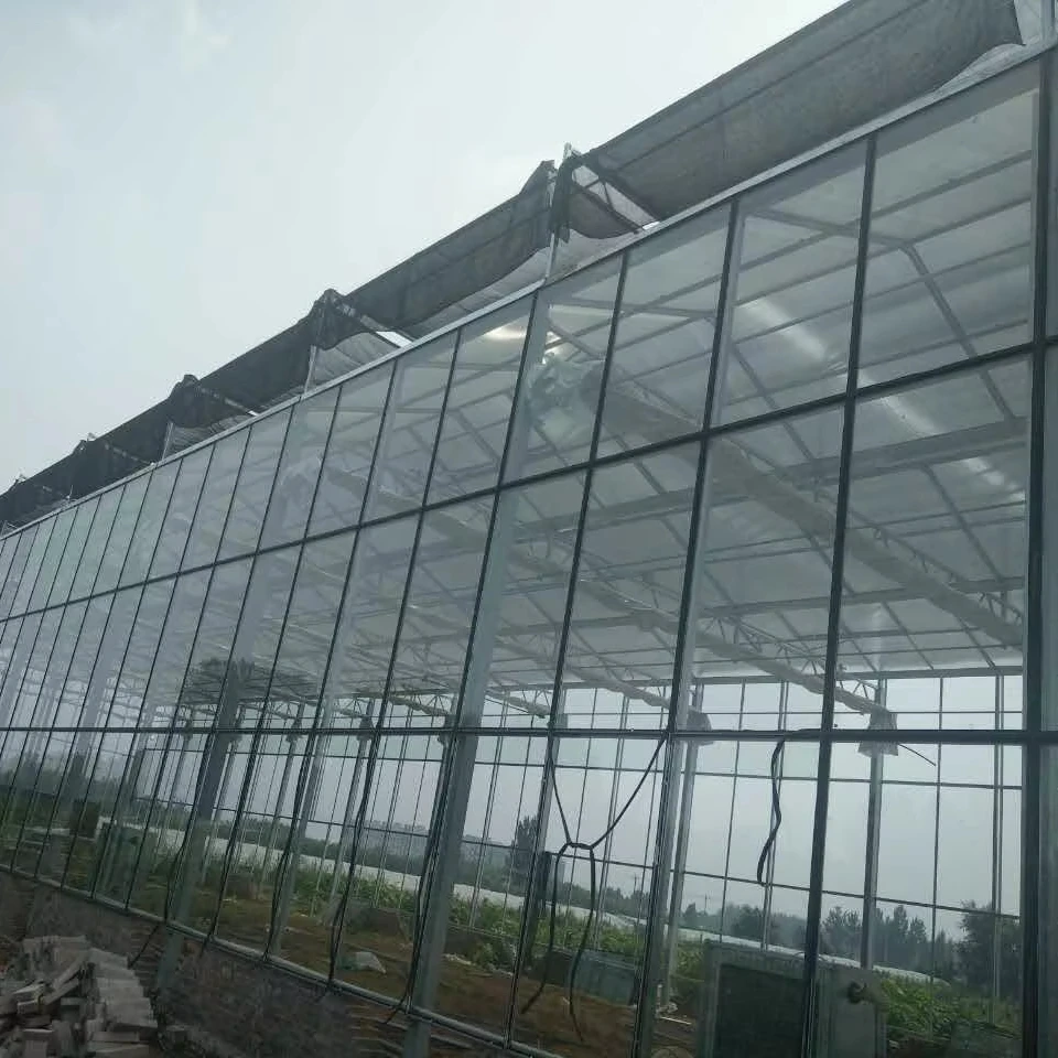 

Customized greenhouseCustomized Large Size Modern Intelligent Polycarbonate Greenhouse for Agricultural Planting