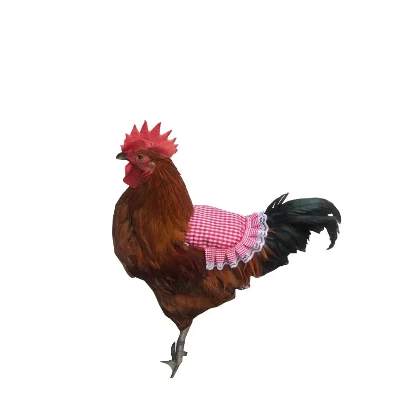 NEW Hen Apron Elastic Chicken Saddle Feather Protector Adjustable Pet Clothes Birds Chicken Dress Poultry Apron for Cold Weather