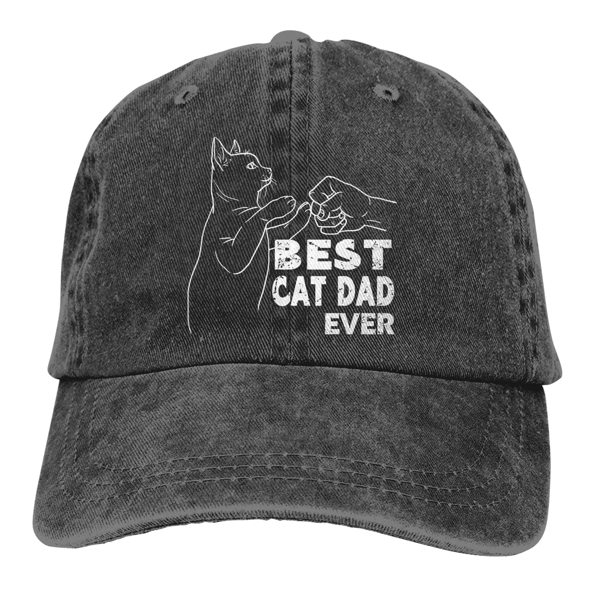 Kity gorra de béisbol para hombre y mujer, gorro con visera de protección, Snapback, el mejor gato, papá