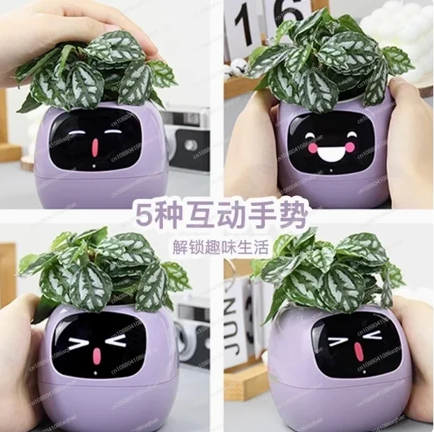 Intelligent Potted Ivy Desktop Green Plant Intelligent Cute Pet interaction Flower Pot Cartoon Expression Plant Emotions English