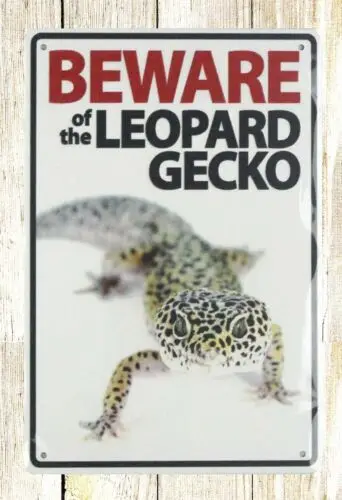 Beware of leopard gecko tin metal sign affordable art prints