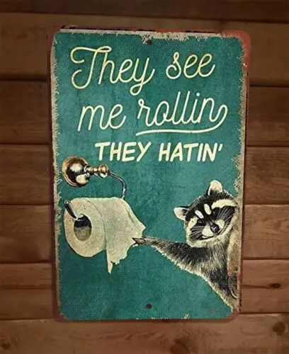 Raccoon They See Me Rollin They Hatin 8x12 Metal Wall Sign Animal Poster