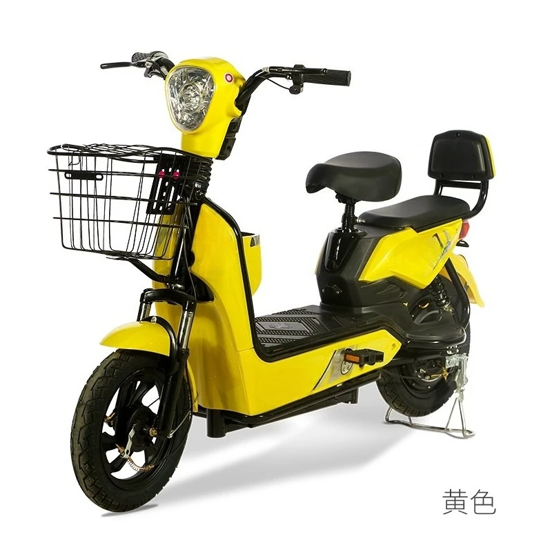 

Electric bicycle Electric charging bicycle Adult foldable dual motor electric vehicle