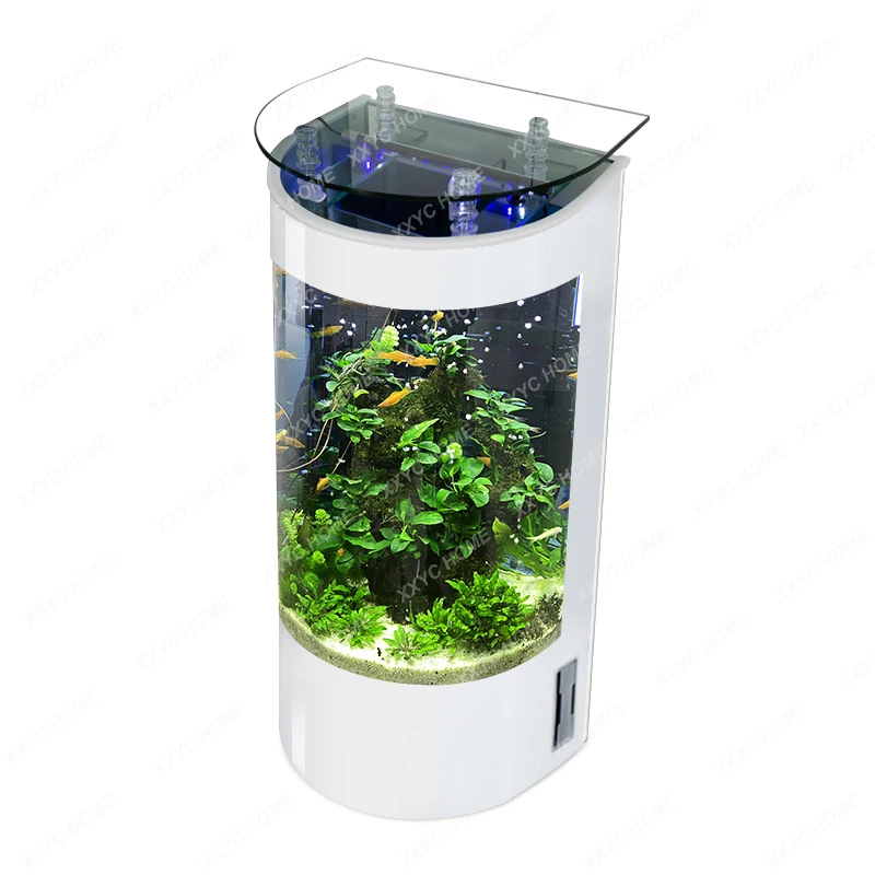 

Fish Tank beside TV Cabinet Living Room Small Change Water Floor Semicircle Glass Ecology