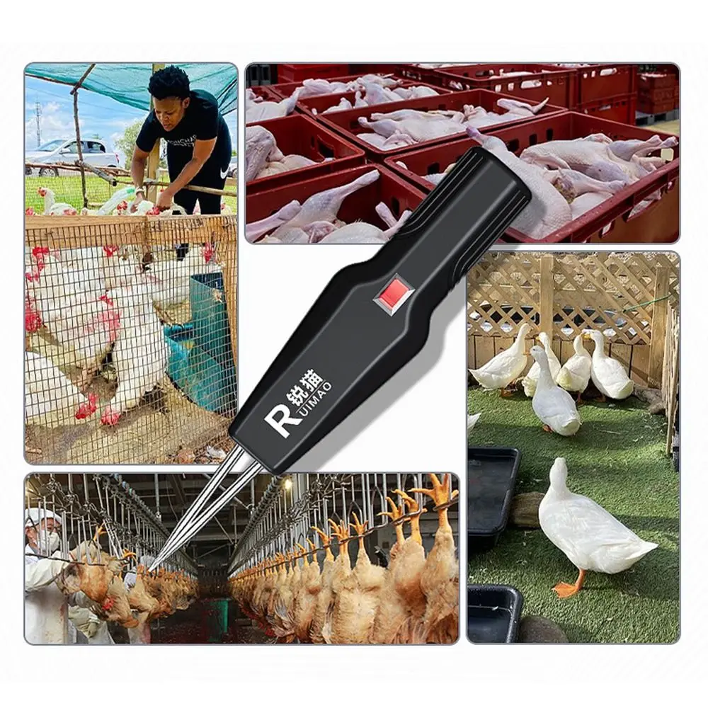 Quick Removal Electric Chicken Plucker Plug-in Model Handheld Design Pinna Removal Machine Automatic Operation Professional Tool