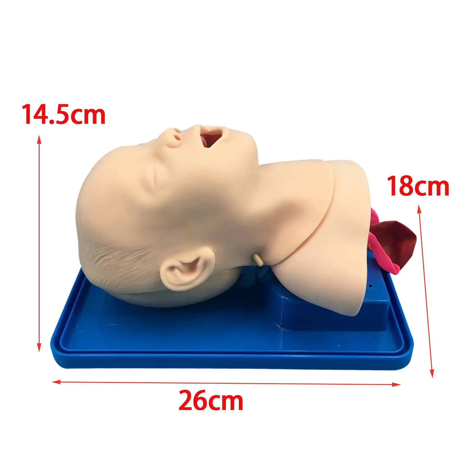 

Infant Intubation Trainer Infant Tracheal Intubation Model for First Aid Simulation Training Study Science Lab Nursery Students