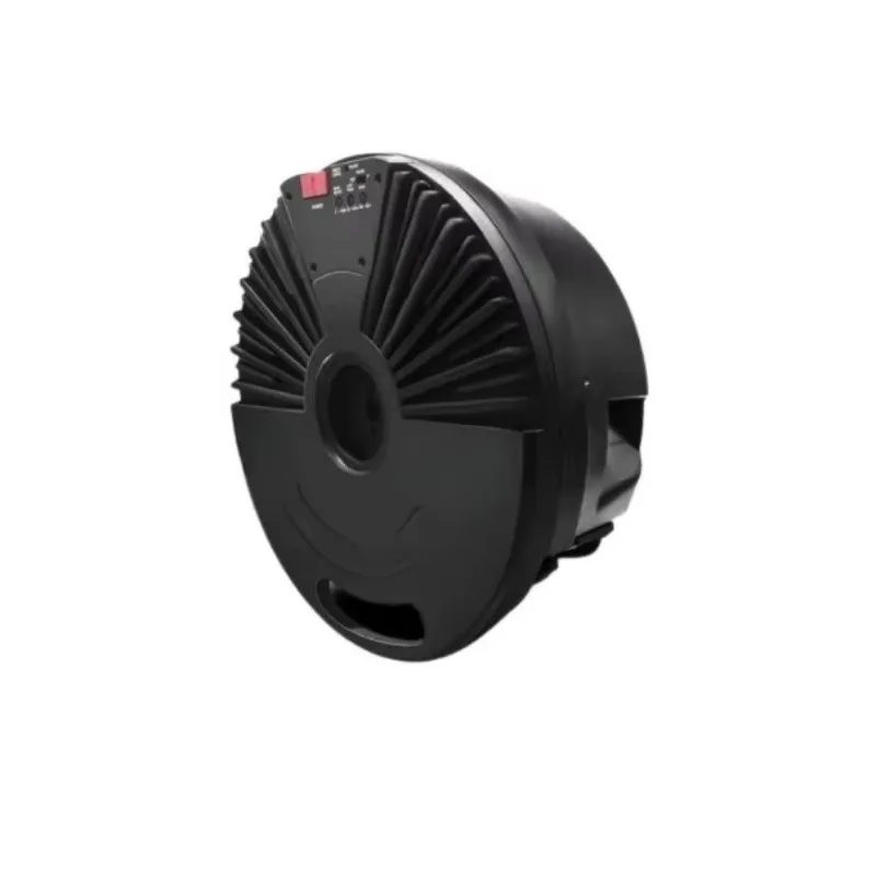 Factory Direct Sales Spare Wheel Subwoofer Car Bass Speaker Woofer Spare Tire Active Car Subwoofer Car Woofer with Amplifier