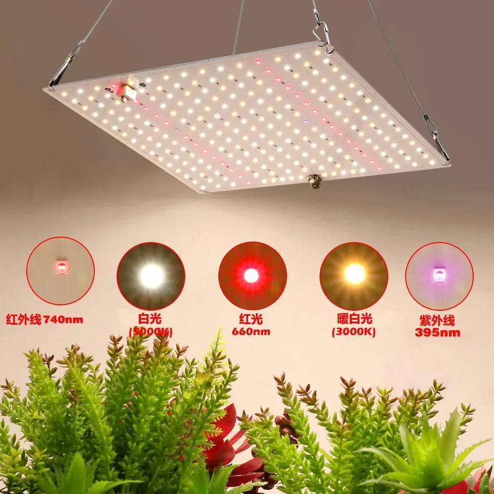 Full Spectrum LED Grow Light with EU Plug 1500W Luminous Efficiency LM281B Quantum Board Plant Phytolamp for Hydroponic Seedling