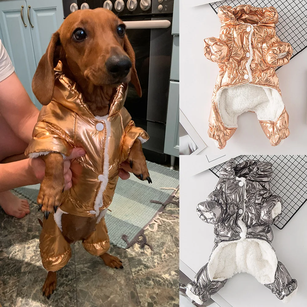 Chaqueta gruesa y cálida para perros y gatos, traje impermeable para perros pequeños, Bulldog Francés, Dachshund, Yorkie, Otoño e Invierno