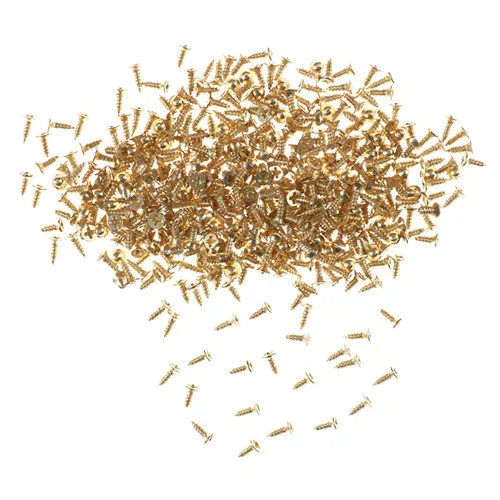 

Плоские саморезы Латунный материал Золотые винты Модель Инструмент
