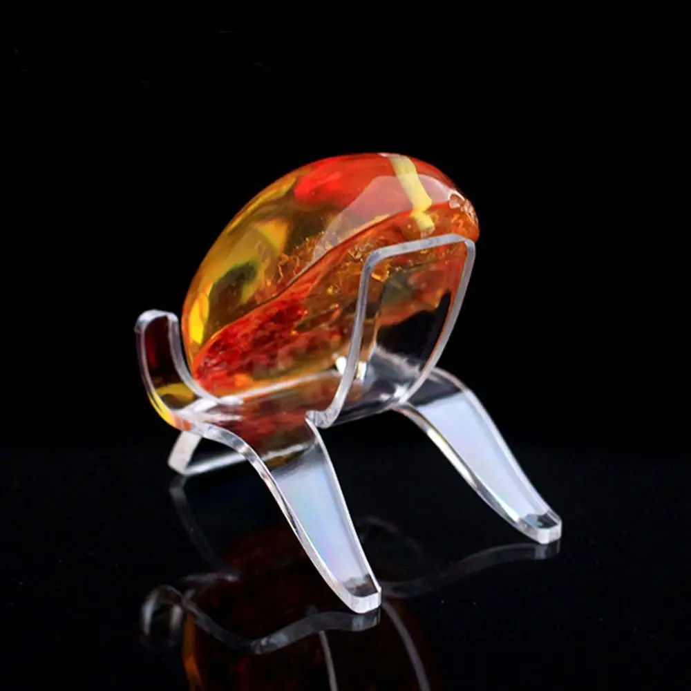 

New Acrylic Display Holder Fossils Minerals Rocks Crystal Stone Display Rack Creative Transparent Shown Holder