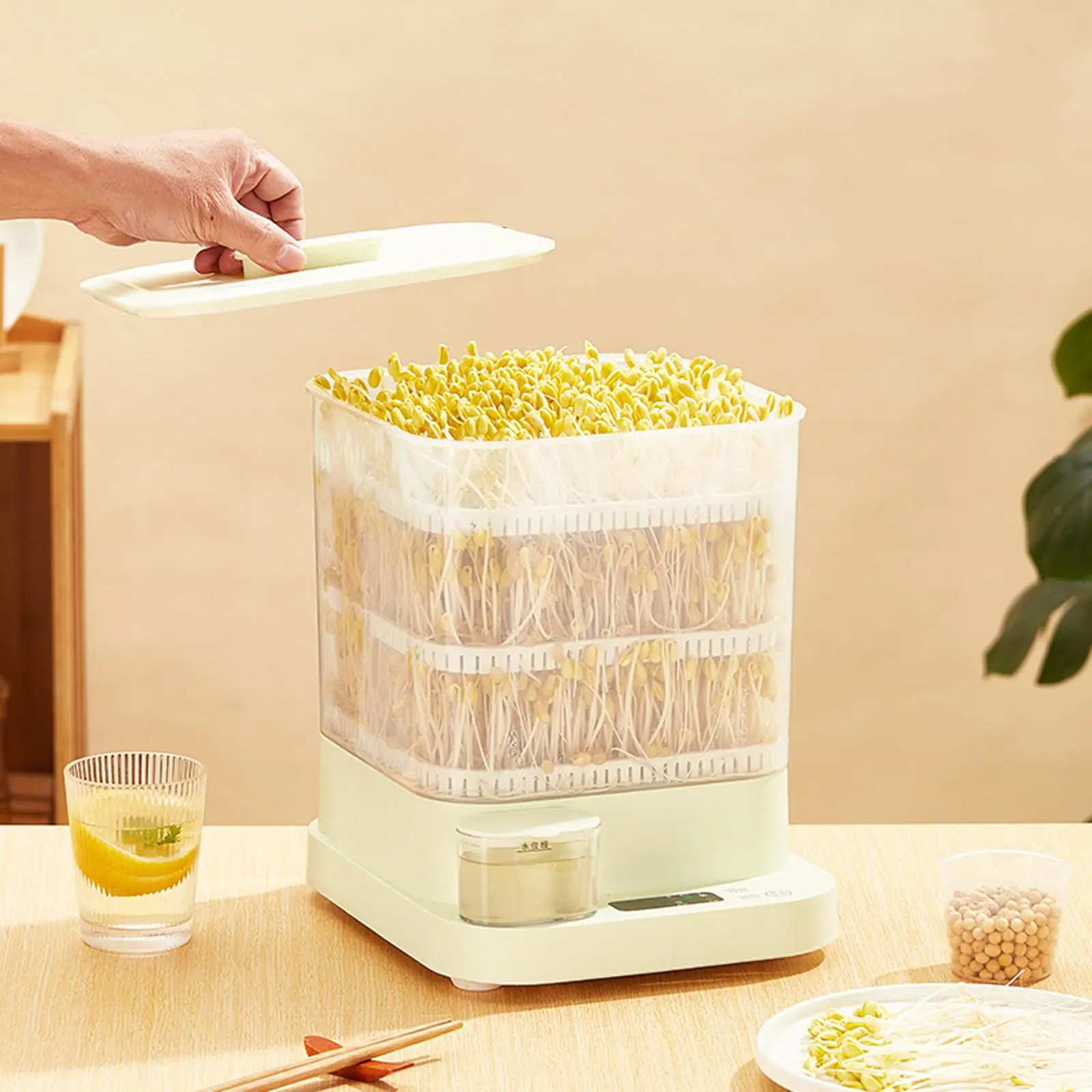 Automatic Bean Sprouts Machine Soybean Mung Bean 3 Layer with 3 Seasonal Modes for Household Hydroponic Germination DIY Planting