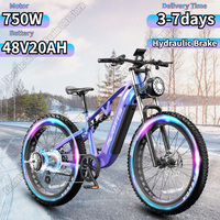 DUOTTS E26 Electric Bicycle 750W Brushless Motor 48V20AH Lithium Battery Aldult E-bike 26*4.0-Inch Fat Tire Snow Electric Bike