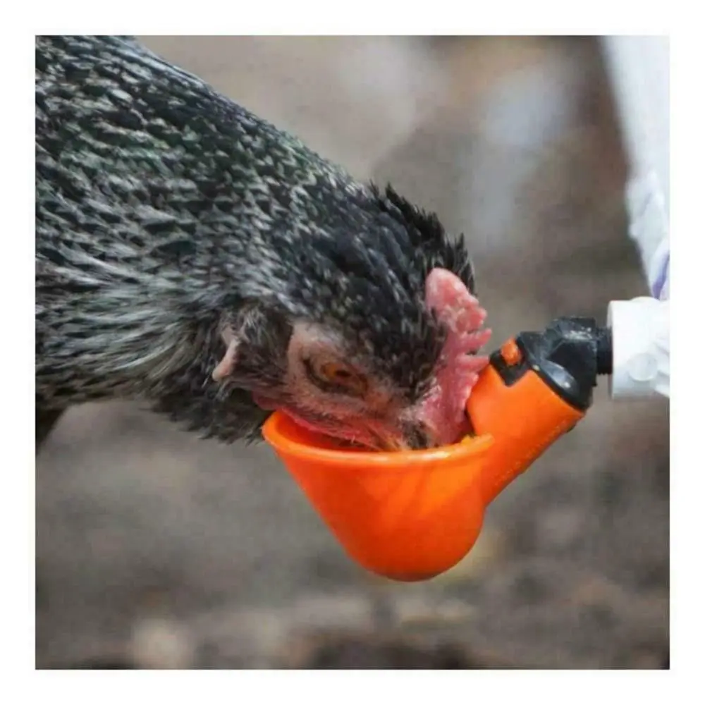 10/20 Pcs Poultry Water Drinking Cups- Chicken Hen Plastic Automatic Drinker Chicken Hen Fowl Bowl