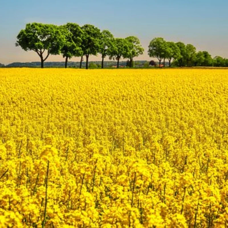 

4 шт., 120 мм, металлический обод колеса 1,9 дюйма, набор резиновых шин для 1/10 RC гусеничного автомобиля Trxs TRX4 RC4WD D90 Axial SCX10 II III MST