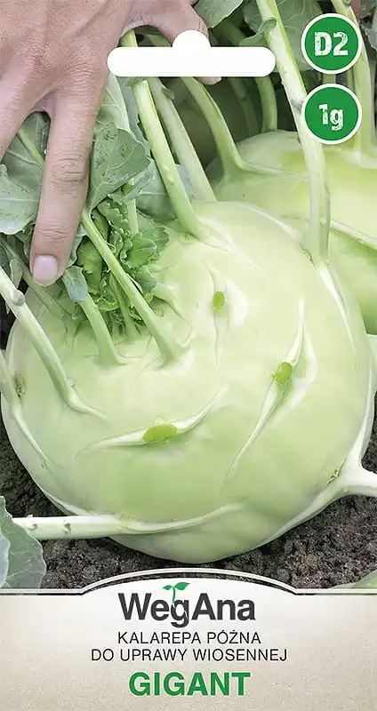 Taré Kohlrabi Gigante 1G VegAna semillas vegetales