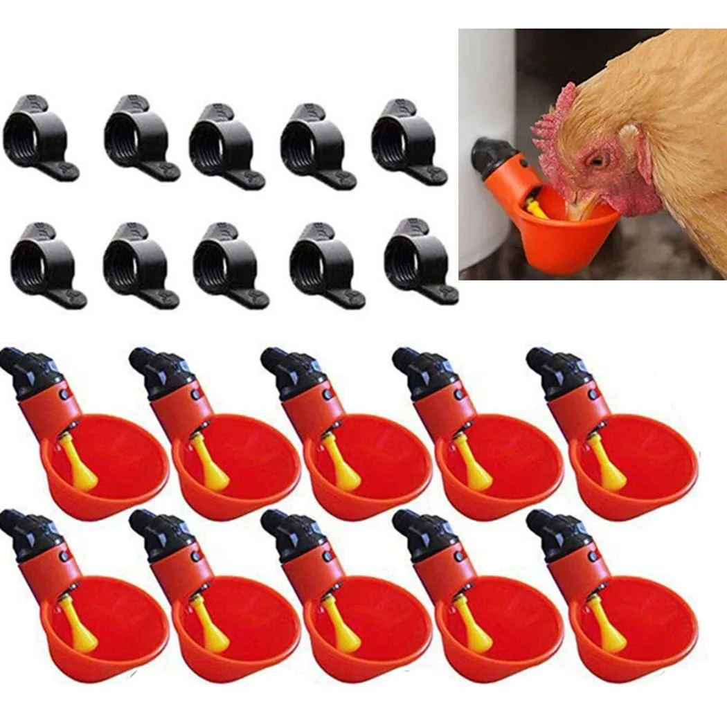 

Accessories Brand New Chicken Drinking Bowl Poultry Drinker Chicken Container Crickets Drinking Cup Farm Holder Animal Automatic