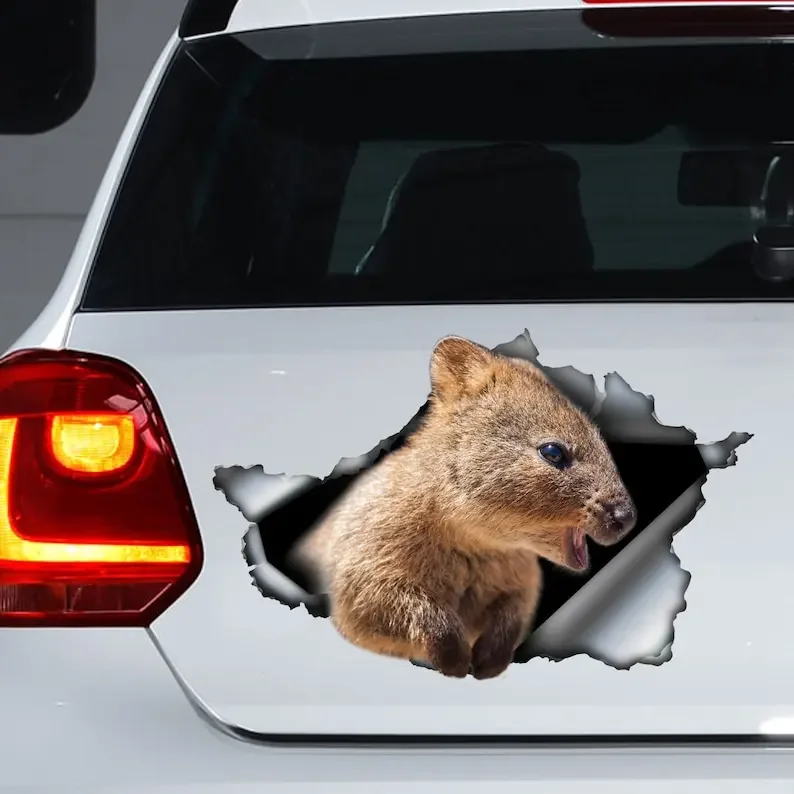 Quokka car decal , Australian Quokka car magnet, Quokka sticker