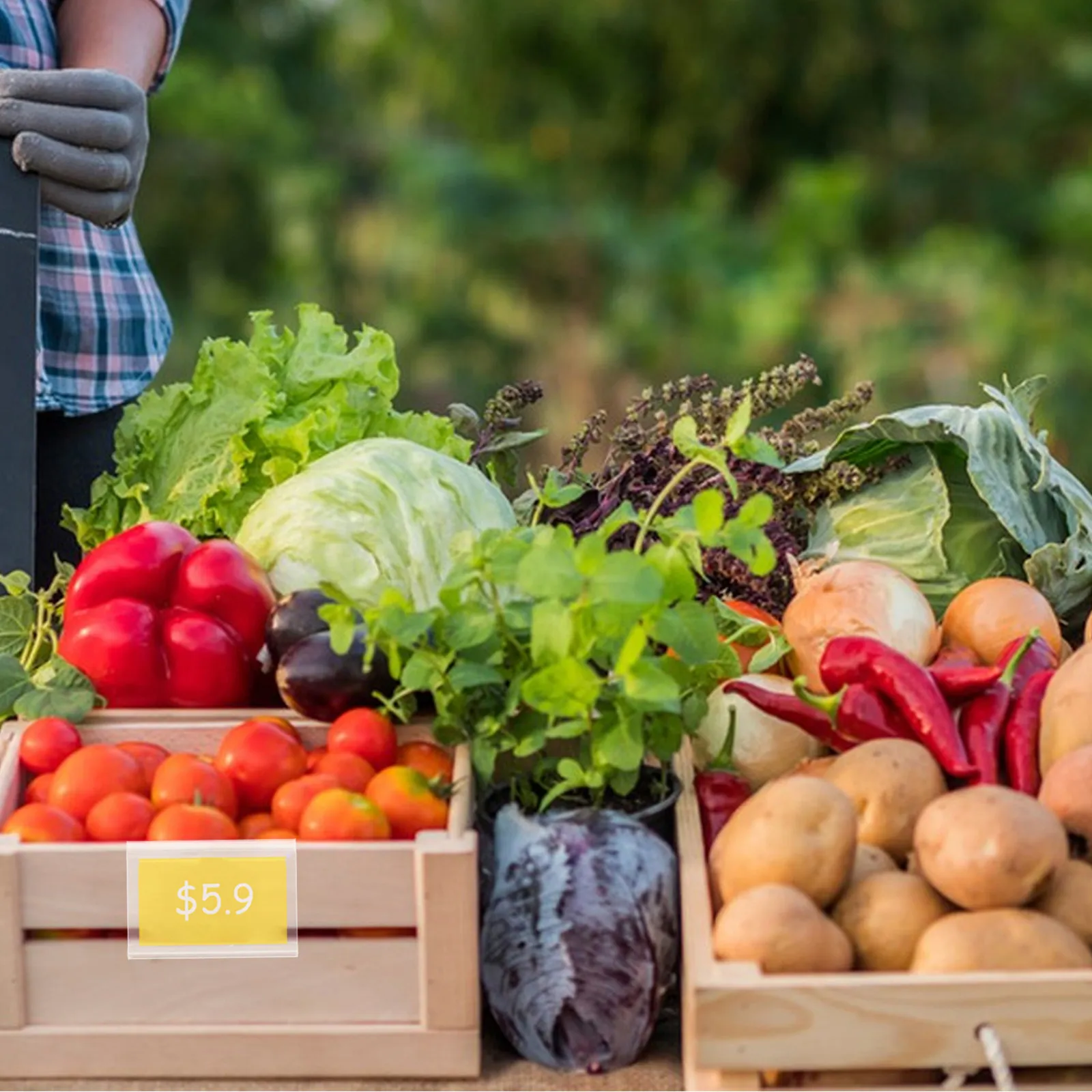 

60 комплектов прозрачных пластиковых этикеток-клипс для полок, держатели для этикеток на корзины супермаркетов, клипсы для демонстрационных стендов, легкое крепление этикеток