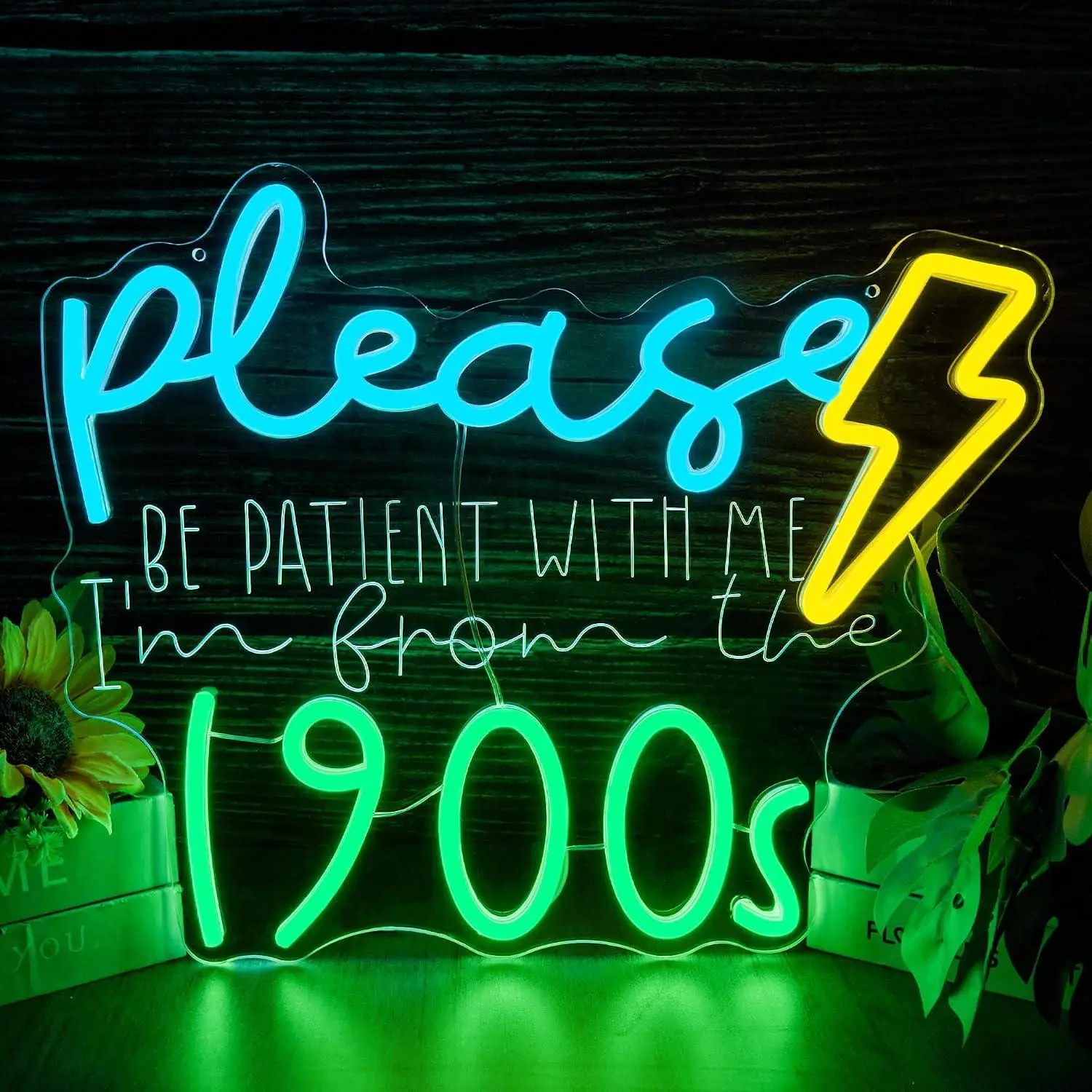 i'm-from-the-1900s-neon-sign-usb-dimmable-led-lights-for-funny-retro-aesthetic-bedroom-game-room-office-wall-hanging-decor-gift