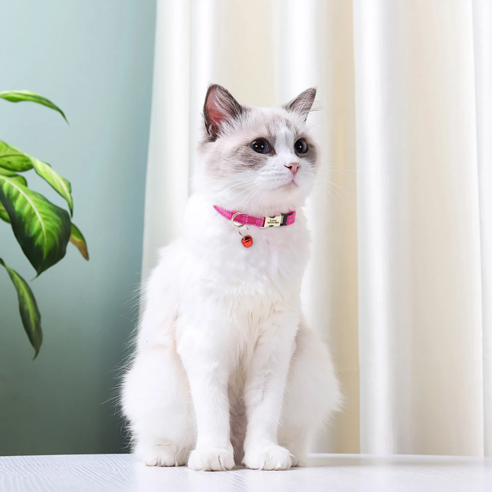 Eingraviert Individuelles Katze Kragen Reflektierende Kätzchen Welpen Halsbänder mit Glocke Personalisierte Pet Katzen Kragen Halskette Zubehör 1cm Breite – Detail 21