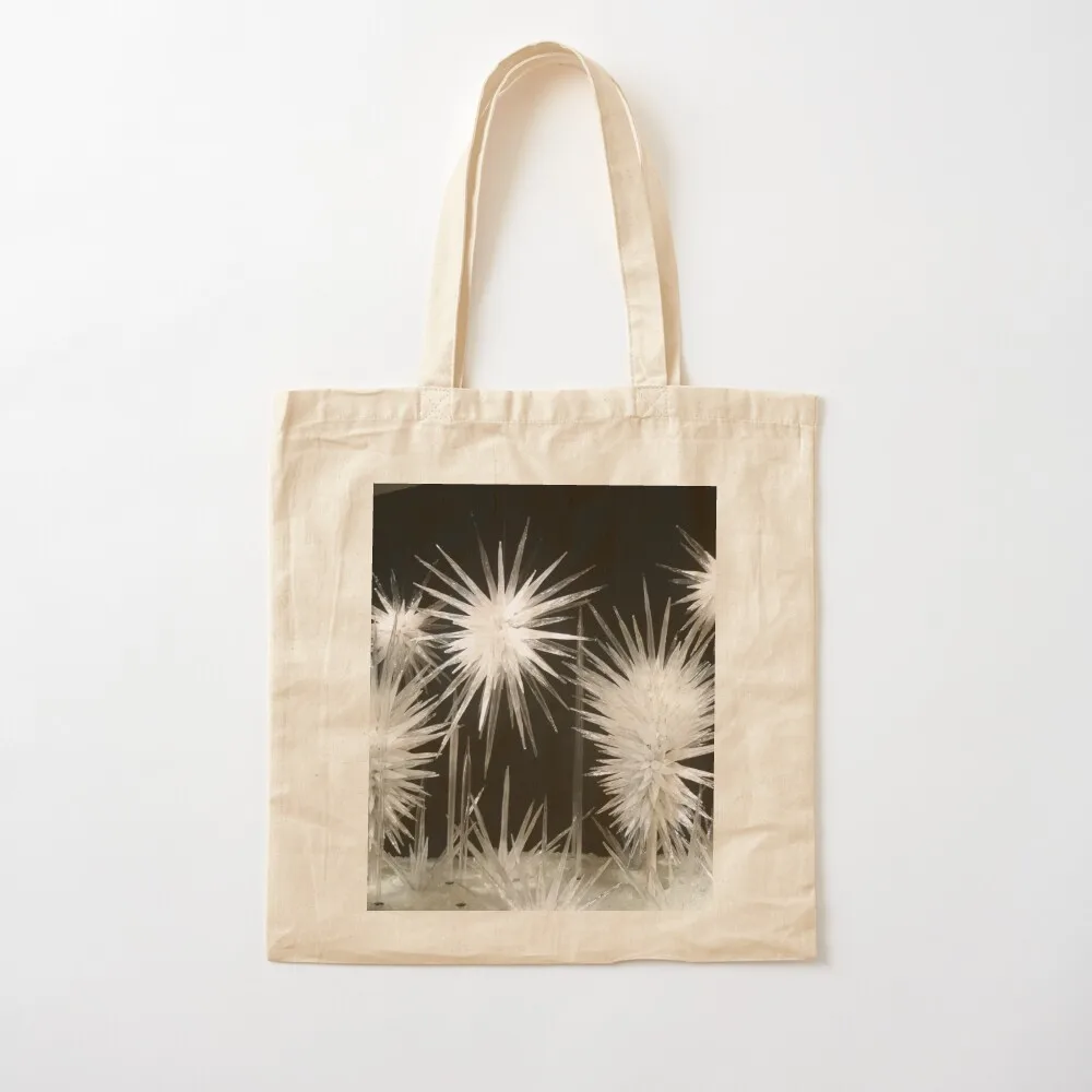 Chihuly - Icy Kingdom Tote Bag Women's shopping bag woman shopping bag Beach shopping cart bags Canvas Tote