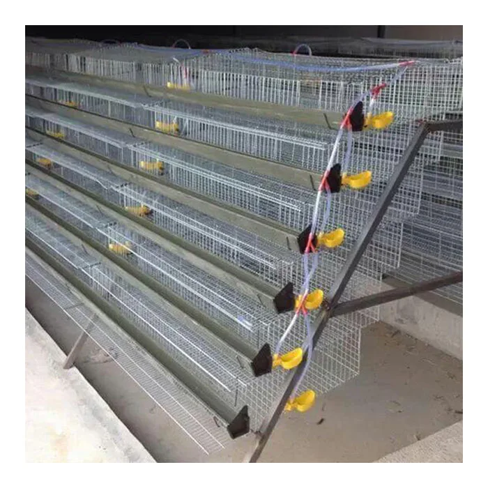 New Features Layer Quail Breeding Cages For Sale With Feeder And Drinker