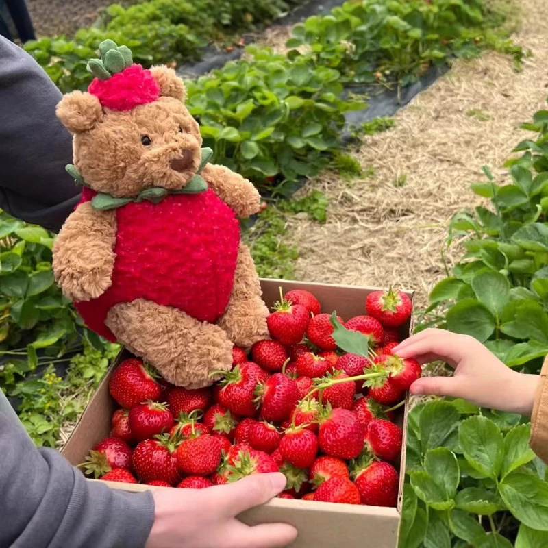 

Cute Strawberry Bear Plush Toy Soft Stuffed Animal Dolls for Kids Baby Comfort Pillow High Quality Birthday Gift Party Decor