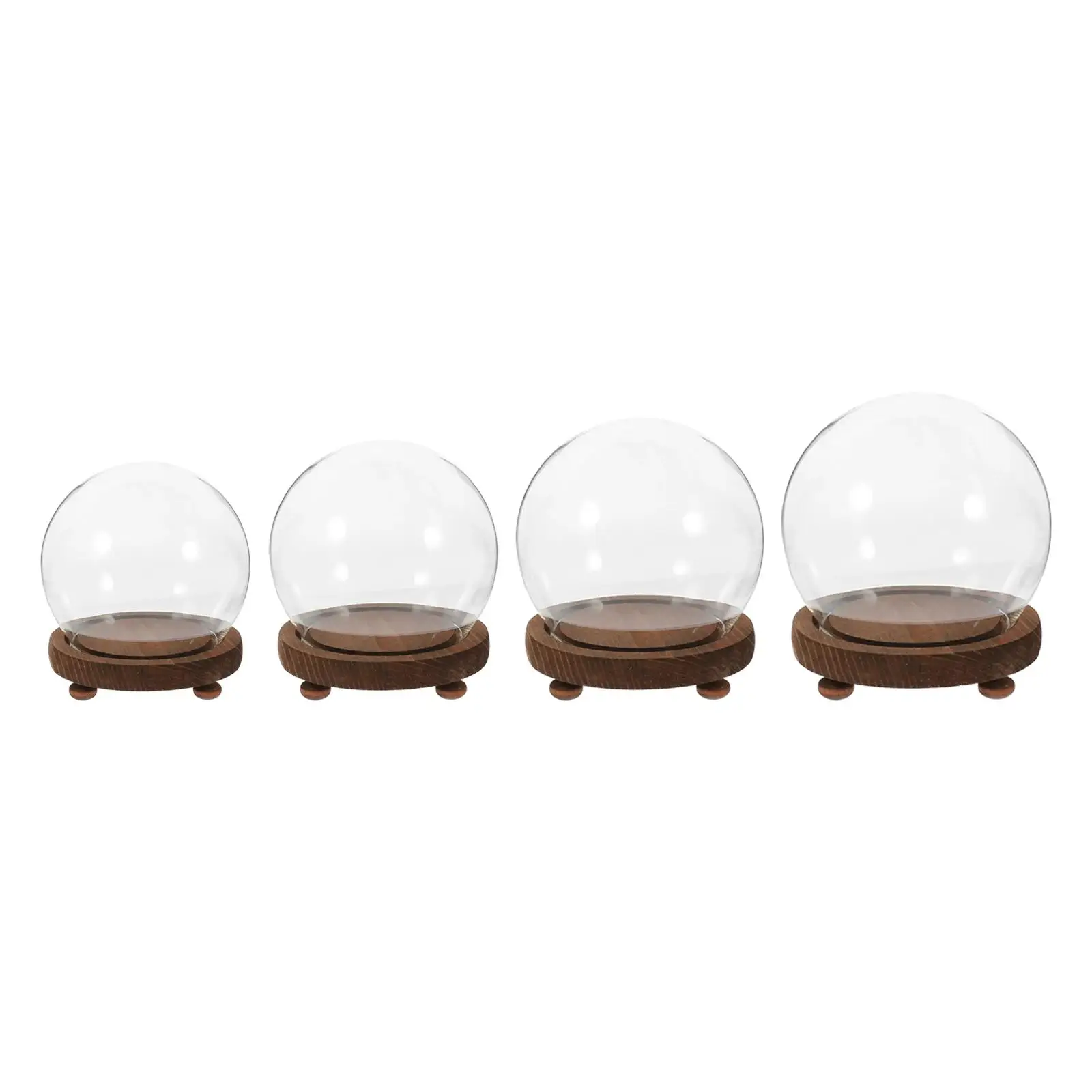 Clear Glass Display Case Wooden Base Plant Flower Container for Christmas Party Favor Decoration Office Tabletop Decoration Home