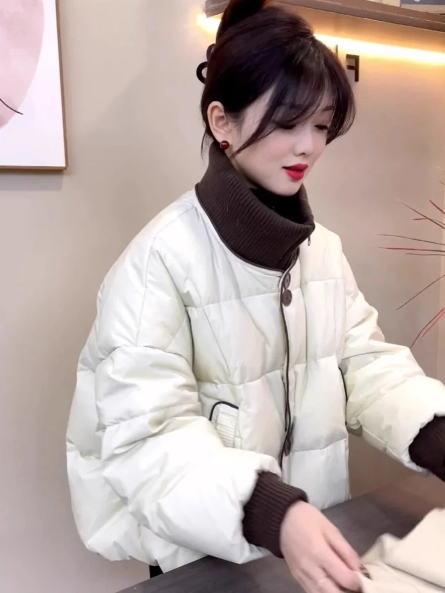 

Модная короткая пуховая куртка из хлопка для женщин, зимнее пальто с цветными вставками, воротником-стойкой, больших размеров, стильная и привлекательная верхняя одежда