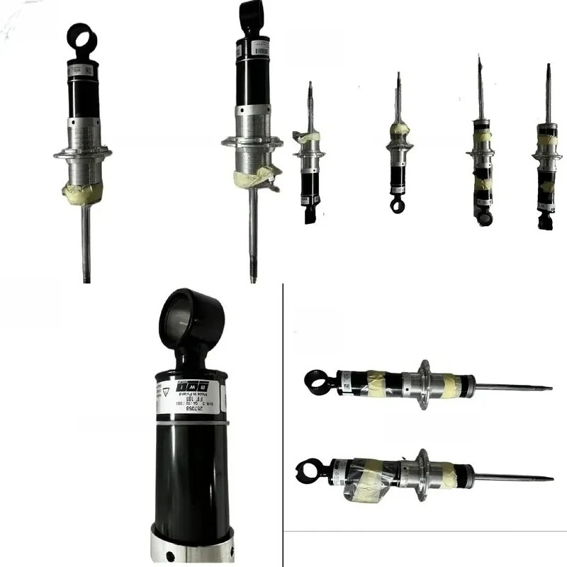 Auto Parts Front Suspension Shock Absorber Strut Oem for 458Damper suspension 255863 289729