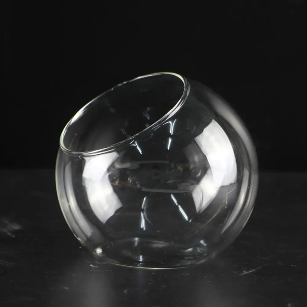 Oblique Clear Glass Ball Vase Transparent Clear Borosilicate Glass Vase 8/10/12/16cm Borosilicate Glass Plant Terrarium Moss