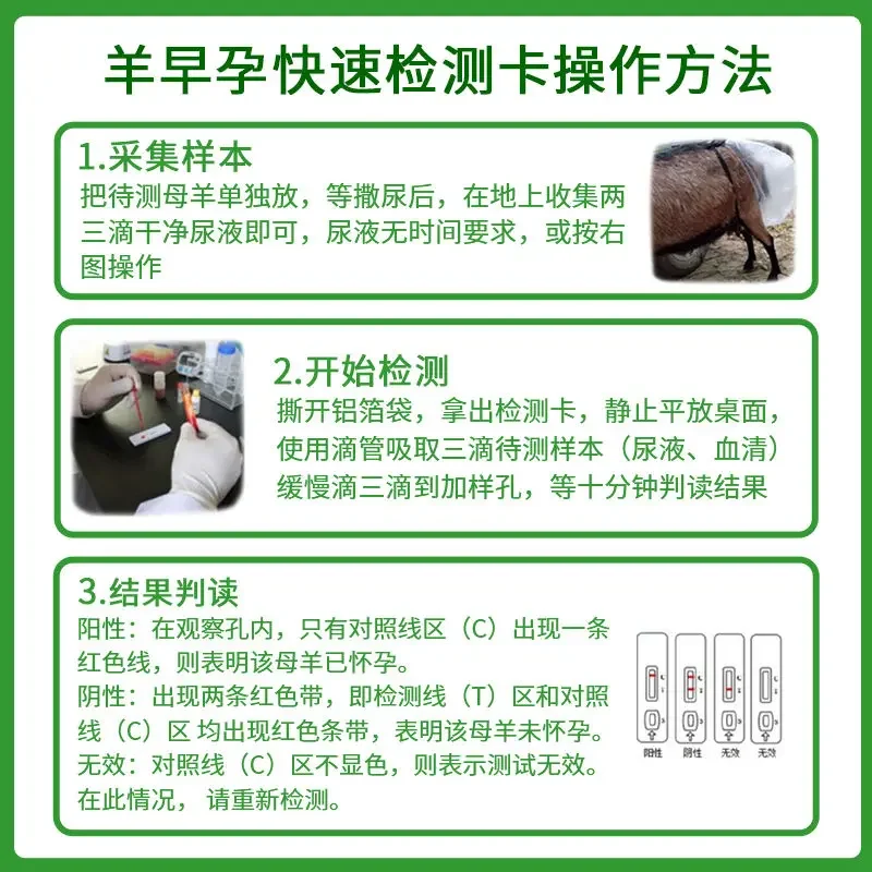 Professional Sheep Pregnancy Test Kit for Livestock Breeders