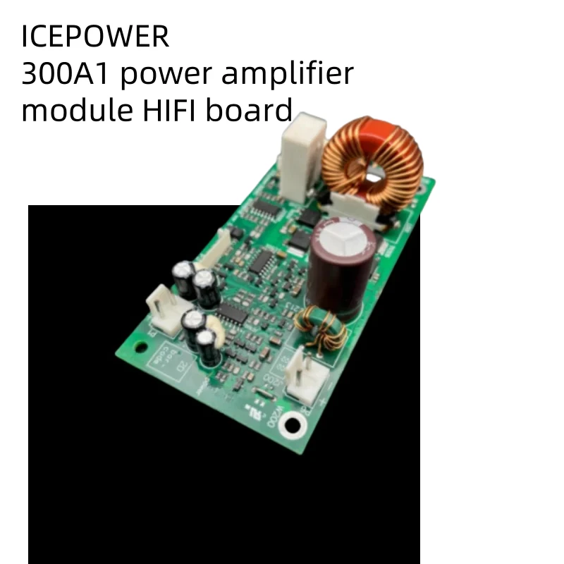Original ICEPOWER 300A1 Amplifier Module | Danish HIFI Class D Amp Board for DIY Audio