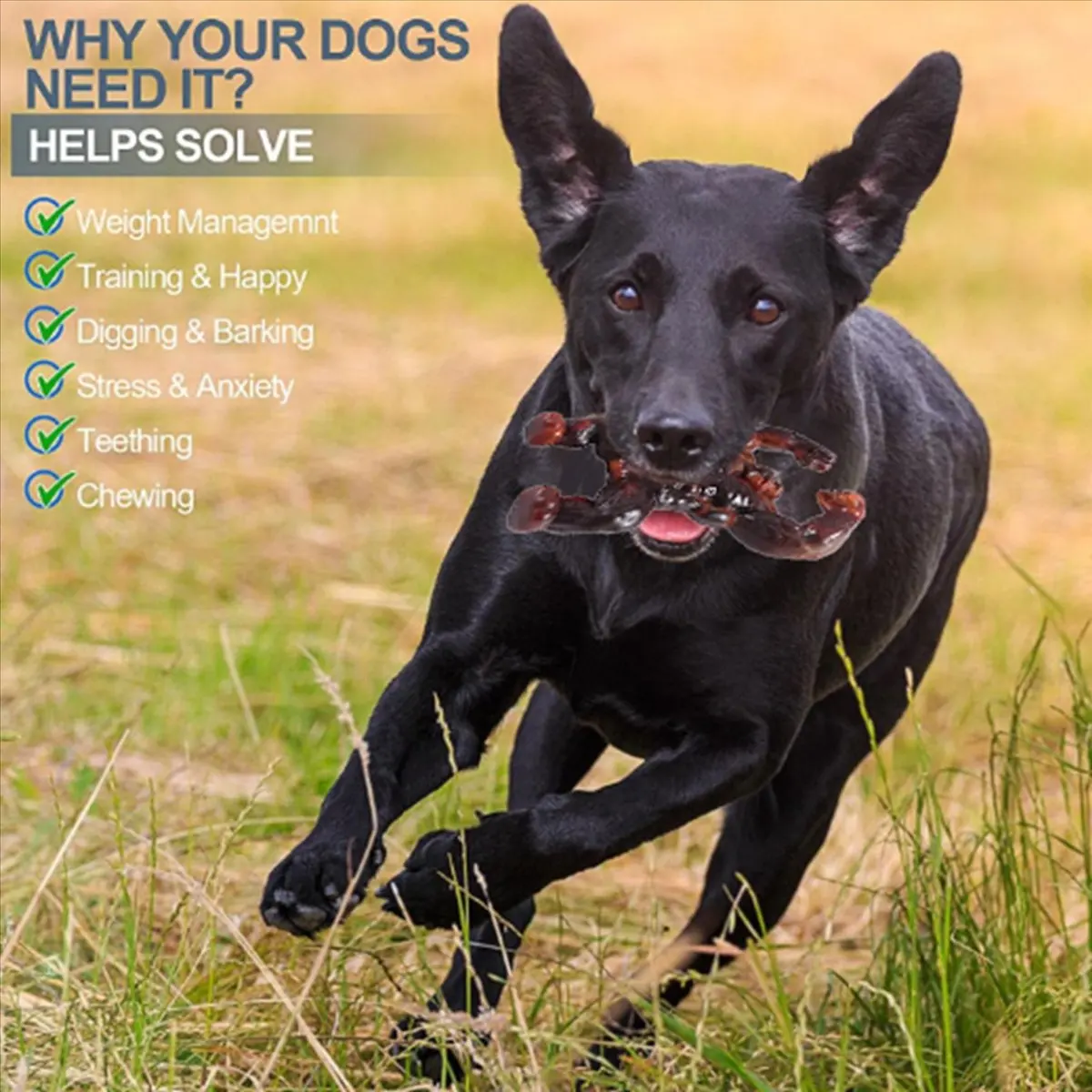 A13M Indestructible Dog Toys for Aggressive Chewers, Beef Flavor, Nylon Teething Chew Toys, Red