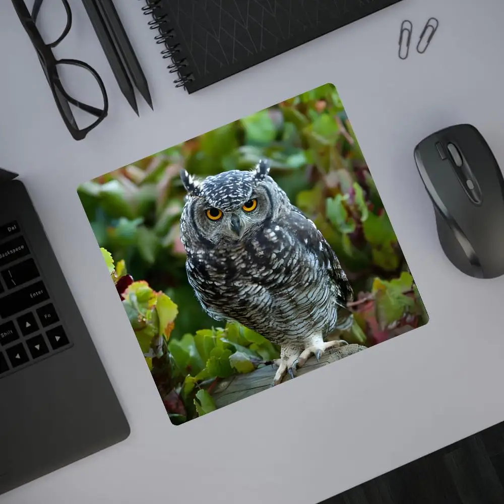 

Cute Animal Owl Gaming Mouse Pad Rubber Gamer Cs Go Computer Laptop Mice Mat Anti-slip Anime Art Carpet Home Mouse Mat HYBXAXC