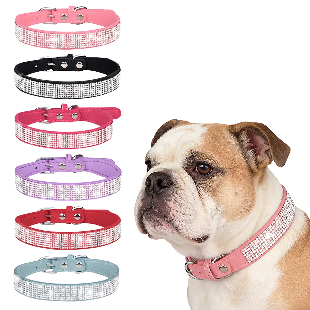 #37 Top 50 Dog Collars Worth Buying In 2026