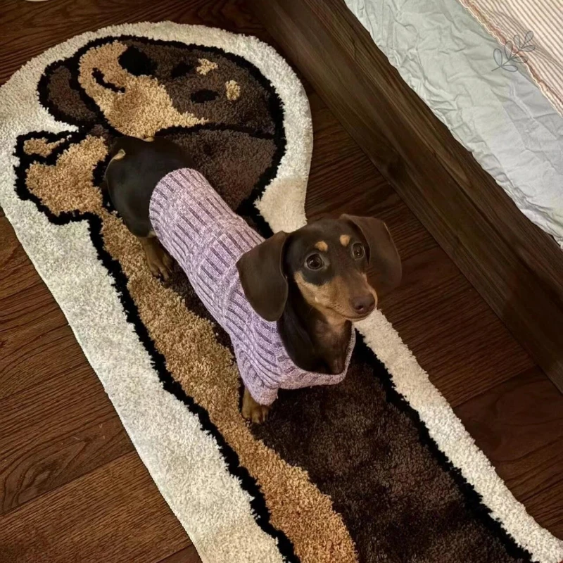 Cute Dachshund Dog Carpet Stain Resistant Imitation Cashmere Carpet Living Room Sofa Children's Room Bedside Mat Home Decoratio