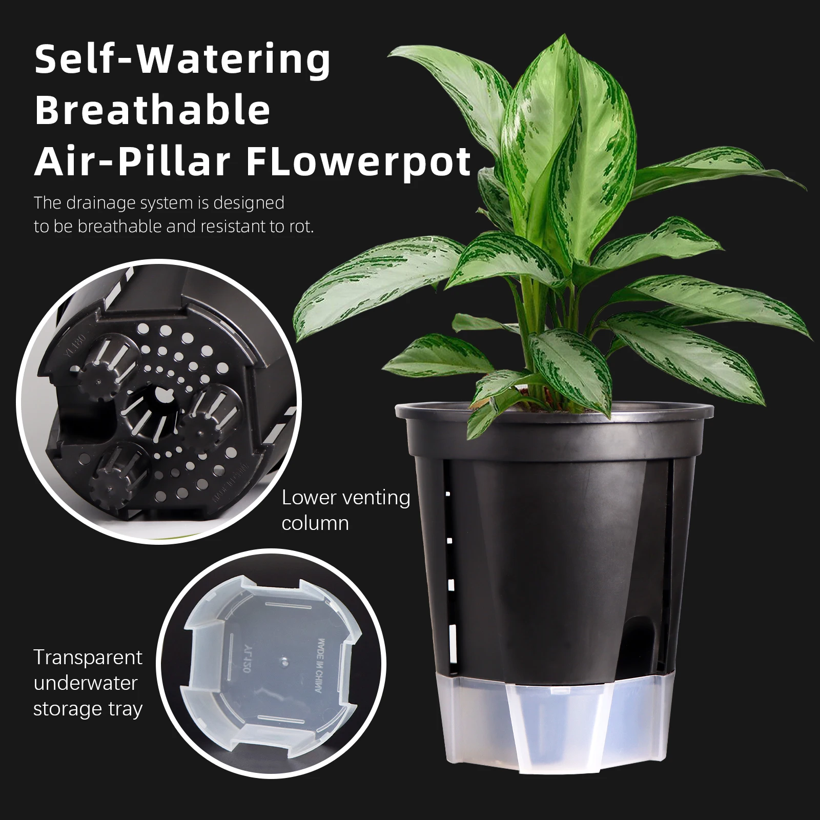 3/5 Unique Self-Watering Flower Pot. Thickened with Water Storage Box. For Dendrobium, Phalaenopsis, etc. Fits Balcony, Desktop