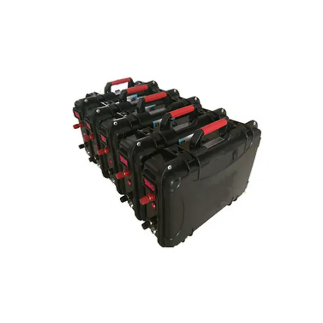 

OEM/ODM Portable UPS 12v 100ah Lithium Ion Battery Lifepo4 battery Pack With Top Quality