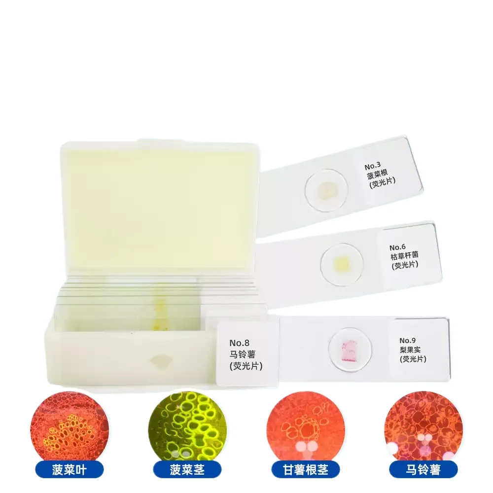 

Set of 9 Fluorescence Microscope Slides Specialized Fluorescence Microscope Slides for Research and Teaching in Plant Biology