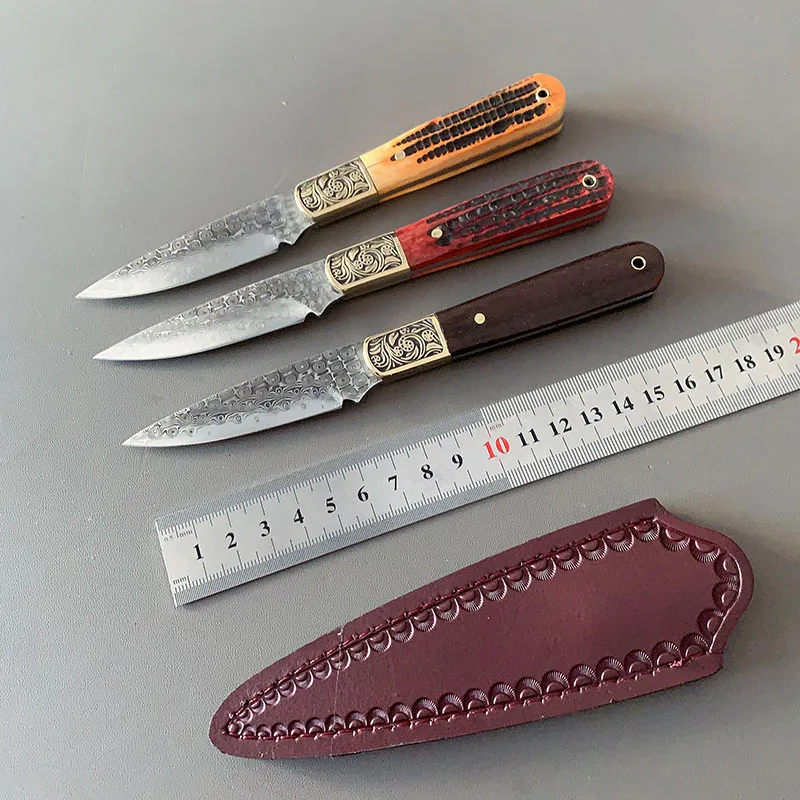 

Rosewood Handle Small Fixed Blade Knife VG10 Damascus Steel Outdoor Camping Hunting Knifes Hand Tools With Leather Case